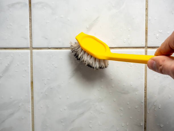 Best Mold Cleaning Services  in Sisco Heights, WA