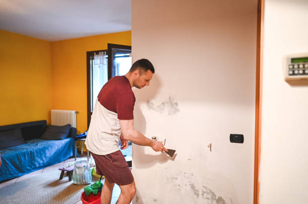 Best Mold Testing  in Sisco Heights, WA